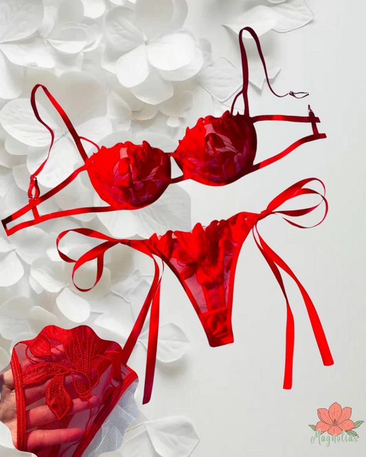 Conjunto de Lencería Sexy