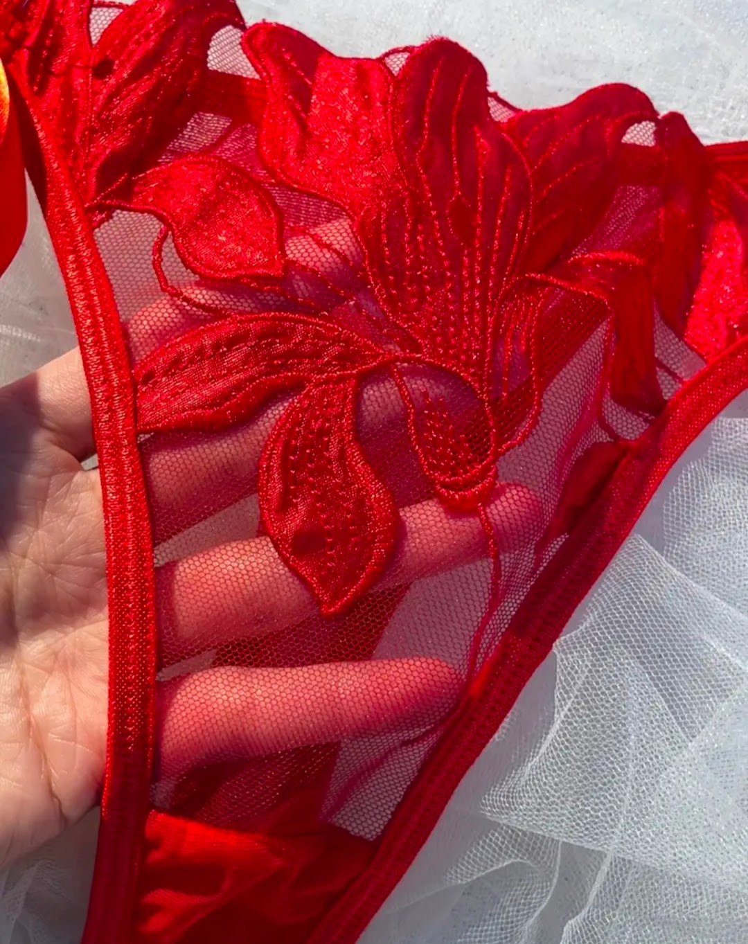 Conjunto de Lencería Sexy