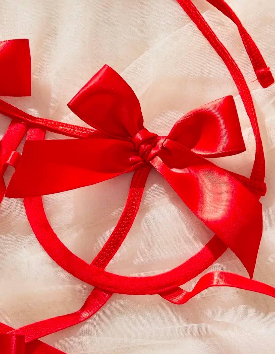 Set Rojo de Lencería Sexy con Moño de Mariposa