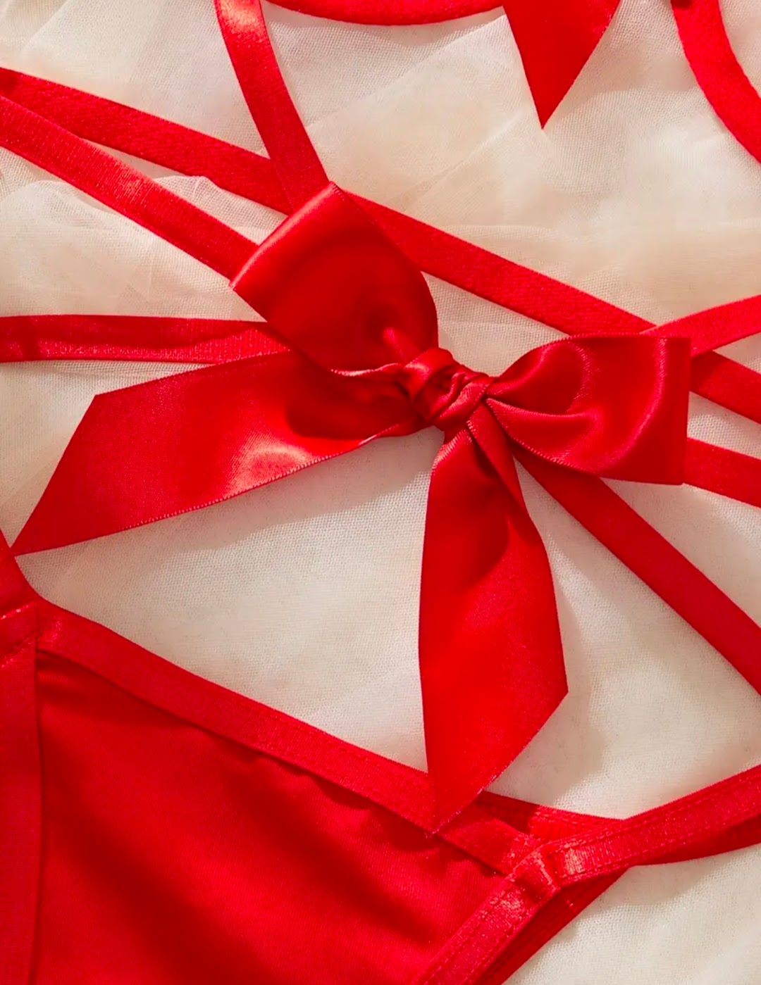Set Rojo de Lencería Sexy con Moño de Mariposa